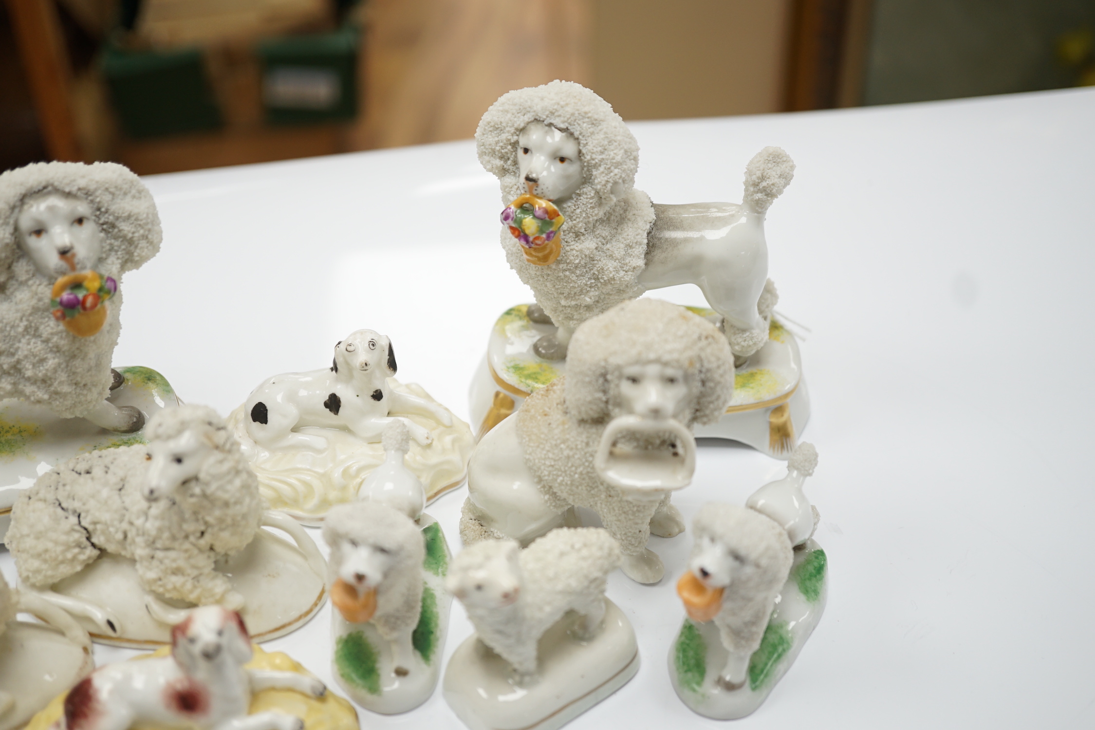 Two Samuel Alcock models of recumbent spaniels, a Staffordshire porcelain model of a seated spaniel and six similar sheep c.1830-50, and five Continental porcelain models of poodles (11)